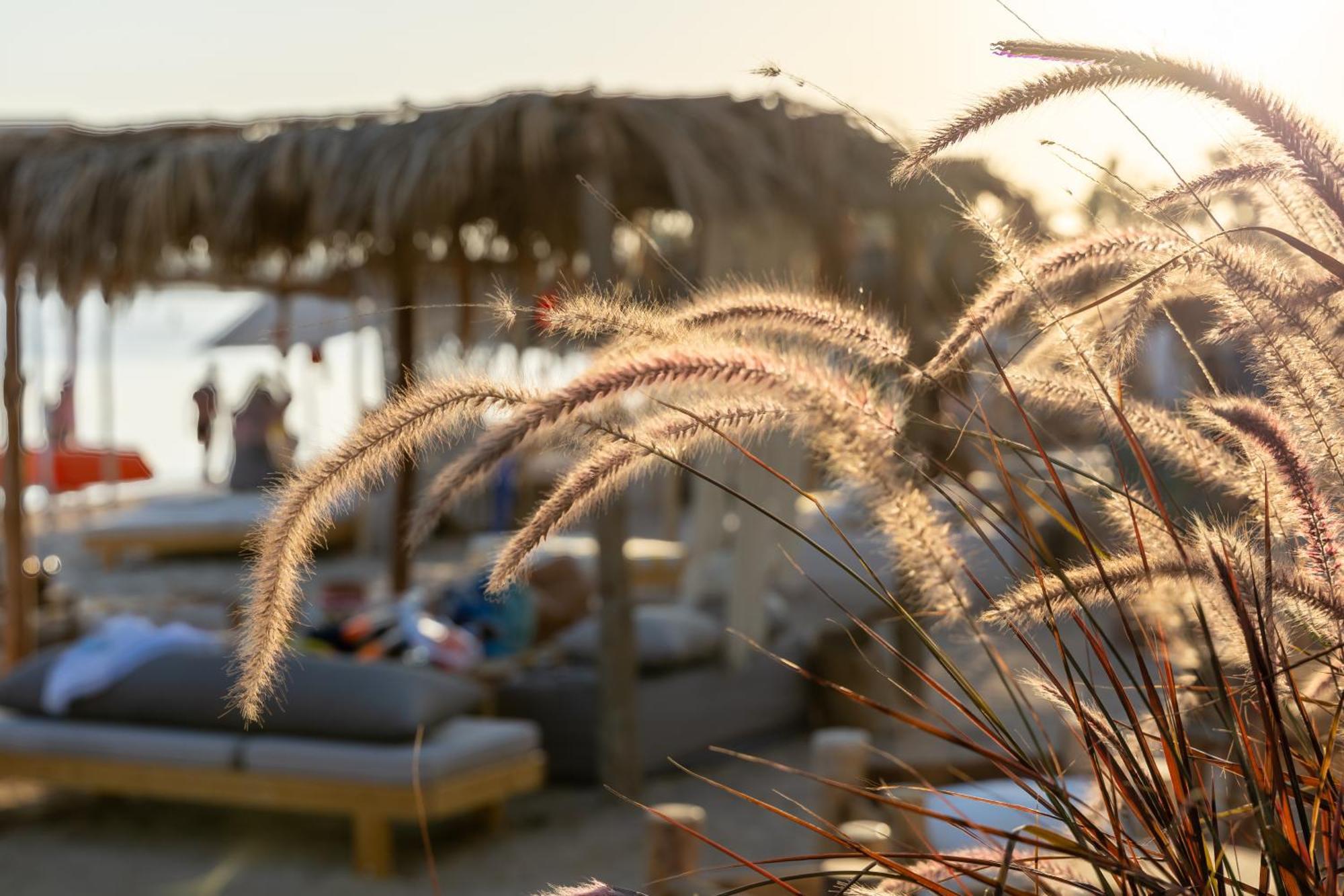 Fort Arabesque Resort, Spa & Villas Hurghada Zewnętrze zdjęcie